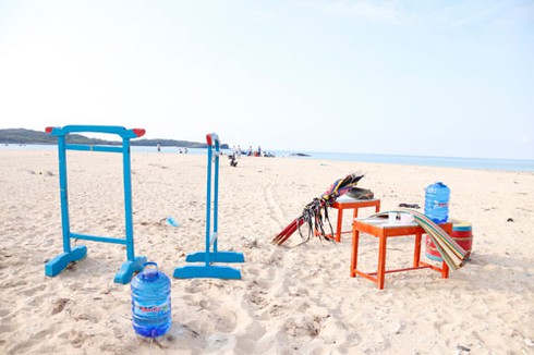 Phát hiện xác cá Voi nặng trên 10 tấn ở Bình Thuận - ảnh 3