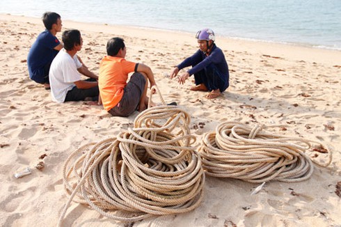 Phát hiện xác cá Voi nặng trên 10 tấn ở Bình Thuận - ảnh 6