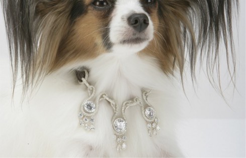 10 đồ xa xỉ nhưng vô dụng nhất thế giới - ảnh 1