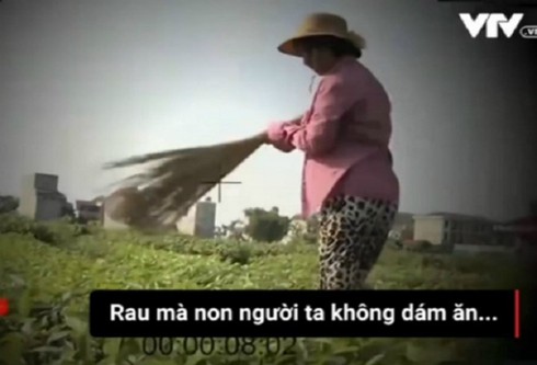 Bộ TT&TT yêu cầu VTV giải trình vụ dàn dựng “Cây chổi quét rau” - ảnh 1