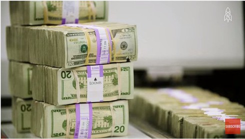 Video: Tái chế hàng triệu USD tiền giấy thành đất trồng cây - ảnh 1