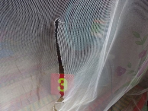 Kẻ trộm rạch mùng lấy iPhone 6, cuỗm thêm 1 con gà và 1 con chó - ảnh 1