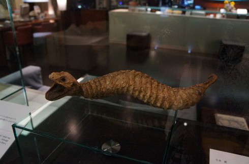 Huyền bí loài sinh vật truyền thuyết ở Nhật Bản - ảnh 4