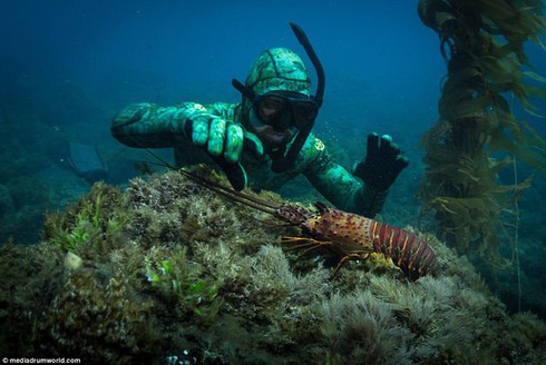 Áo lặn tàng hình: Đi bơi gặp cá mập... chẳng phải sợ! - ảnh 3