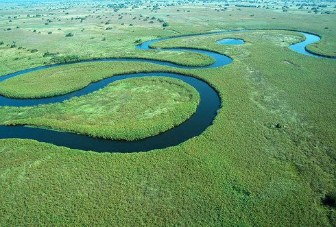 Tuyệt sắc Đồng bằng Okavango với hàng ngàn loài động thực vật - ảnh 1