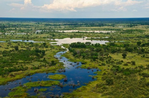 Tuyệt sắc Đồng bằng Okavango với hàng ngàn loài động thực vật - ảnh 3