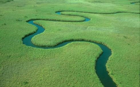 Tuyệt sắc Đồng bằng Okavango với hàng ngàn loài động thực vật - ảnh 4