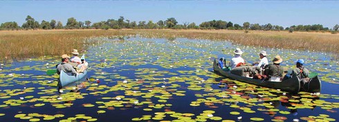Tuyệt sắc Đồng bằng Okavango với hàng ngàn loài động thực vật - ảnh 9
