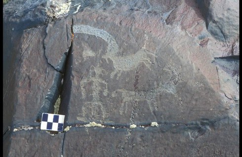 Thú vị tranh khắc đá trên dãy núi