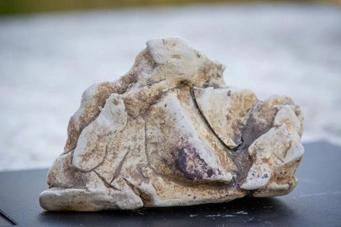 Ngư dân rao bán khối long diên hương giá 86.000 USD - ảnh 1