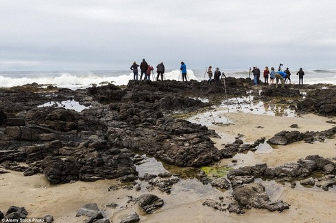 Kỳ lạ giếng thần Thor hút nước giữa biển - ảnh 4