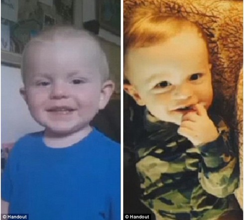 Chú chó hy sinh để bảo vệ bé 3 tuổi - ảnh 1