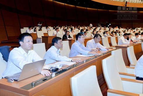 Quốc hội thông qua Luật Tín ngưỡng, tôn giáo - ảnh 3