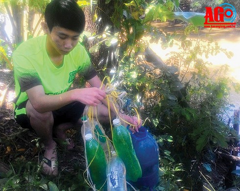 Bắt cá bằng… chai nhựa - ảnh 1