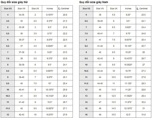 Size giày và những điều bạn cần biết - ảnh 3