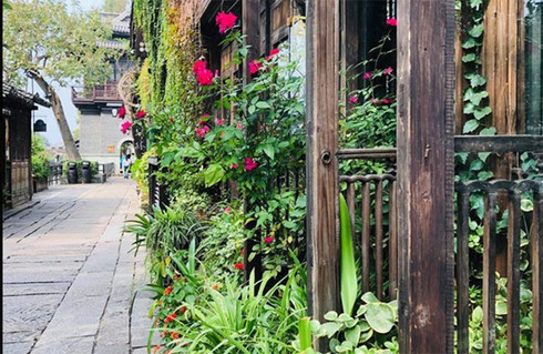 Nước mắt cô gái 'tiểu tam' trong căn hộ chung cư cao cấp