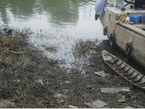 TP.HCM: Rác đang chôn vùi con kênh rộng lớn - ảnh 7
