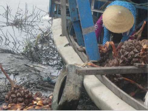 TP.HCM: Rác đang chôn vùi con kênh rộng lớn - ảnh 6