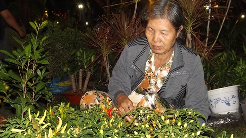 Sài Gòn 28 Tết: Mai chưa nở, đào đã khoe sắc - ảnh 6