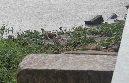 Vụ thi thể người đàn ông trôi sông, tay buộc bao gạch: Nạn nhân tự vẫn - ảnh 1