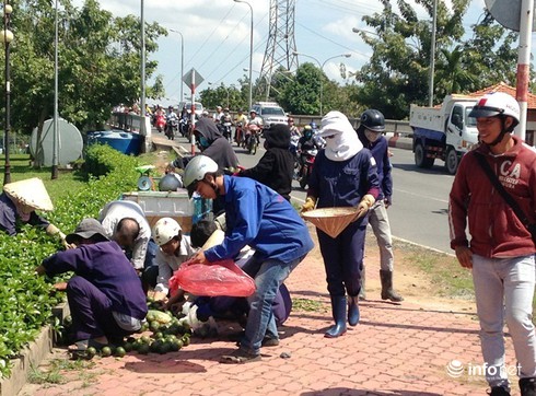 Cụ ông bán cam lao xe mất phanh vào lề đường để tránh gây tai nạn - ảnh 1