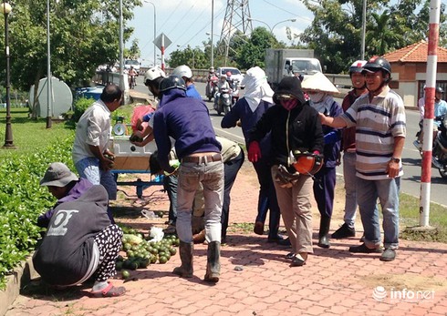 Cụ ông bán cam lao xe mất phanh vào lề đường để tránh gây tai nạn - ảnh 2