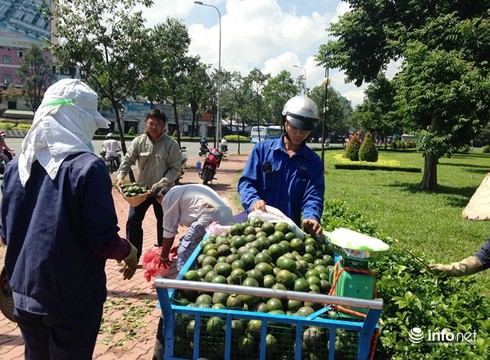 Cụ ông bán cam lao xe mất phanh vào lề đường để tránh gây tai nạn - ảnh 3