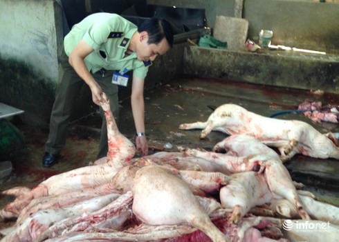 Đồng Nai: Bắt giữ nửa tấn thịt heo hôi thối chờ… ra chợ - ảnh 1