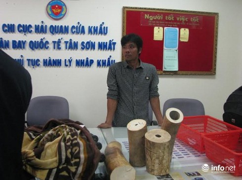 Giấu sừng tê giác trong đầu tôm hùm hòng qua mặt an ninh sân bay - ảnh 1