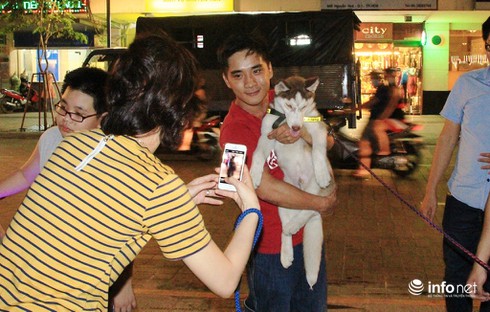 Những chú chó cực đáng yêu dạo chơi trên phố đi bộ Sài Gòn - ảnh 8