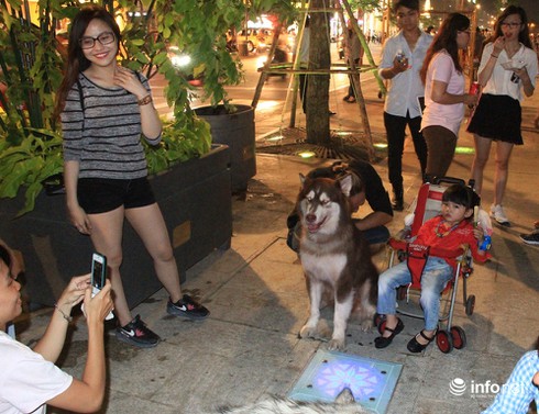 Những chú chó cực đáng yêu dạo chơi trên phố đi bộ Sài Gòn - ảnh 2