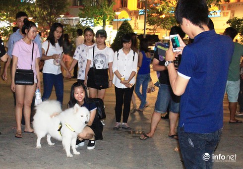 Những chú chó cực đáng yêu dạo chơi trên phố đi bộ Sài Gòn - ảnh 3