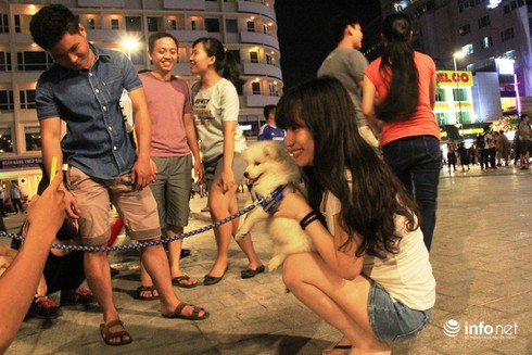 Những chú chó cực đáng yêu dạo chơi trên phố đi bộ Sài Gòn - ảnh 5