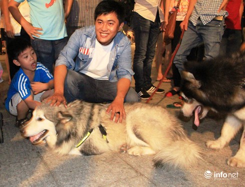 Những chú chó cực đáng yêu dạo chơi trên phố đi bộ Sài Gòn - ảnh 7