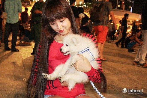 Những chú chó cực đáng yêu dạo chơi trên phố đi bộ Sài Gòn - ảnh 6