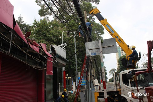 Cây cổ thụ bật gốc đè vào một cửa hàng trung tâm TP.HCM - ảnh 1