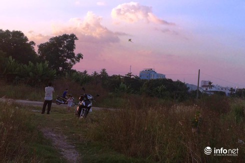 Công viên Văn hóa Gò Vấp rộng 37ha thành nơi… trồng rau, câu cá - ảnh 15