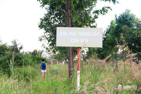 Công viên Văn hóa Gò Vấp rộng 37ha thành nơi… trồng rau, câu cá - ảnh 8