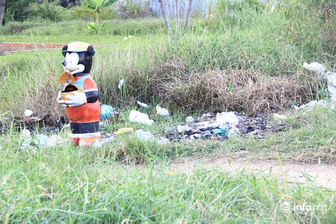 Công viên Văn hóa Gò Vấp rộng 37ha thành nơi… trồng rau, câu cá - ảnh 9