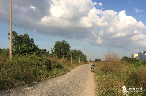 Công viên Văn hóa Gò Vấp rộng 37ha thành nơi… trồng rau, câu cá - ảnh 2