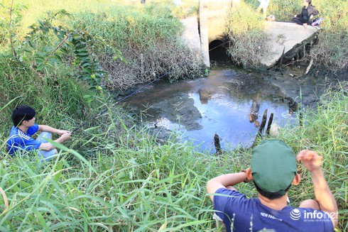 Công viên Văn hóa Gò Vấp rộng 37ha thành nơi… trồng rau, câu cá - ảnh 13