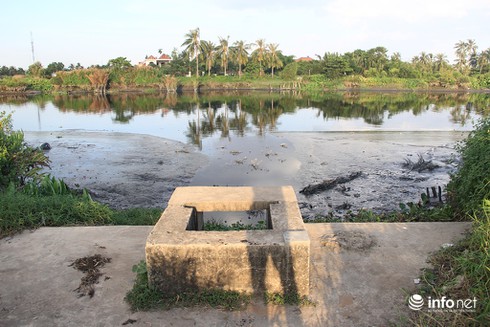 Công viên Văn hóa Gò Vấp rộng 37ha thành nơi… trồng rau, câu cá - ảnh 11