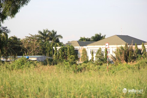 Công viên Văn hóa Gò Vấp rộng 37ha thành nơi… trồng rau, câu cá - ảnh 4