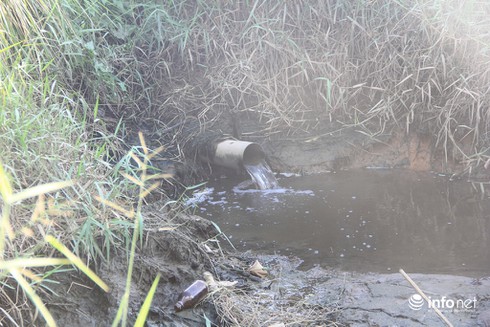 Công viên Văn hóa Gò Vấp rộng 37ha thành nơi… trồng rau, câu cá - ảnh 6