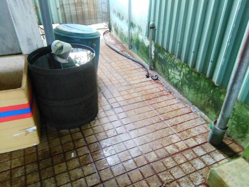 Kinh hãi cơ sở ngâm chất tẩy trắng “biến