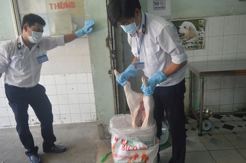 TP.HCM: Bắt hơn 300kg heo sữa “bẩn” trên xe giường nằm - ảnh 1