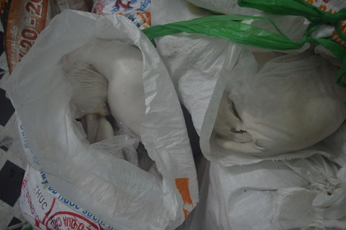 TP.HCM: Bắt hơn 300kg heo sữa “bẩn” trên xe giường nằm - ảnh 2