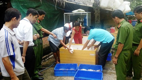 Chủ quán cơm trữ cá bốc mùi hôi để chế biến bán cho thực khách - ảnh 1