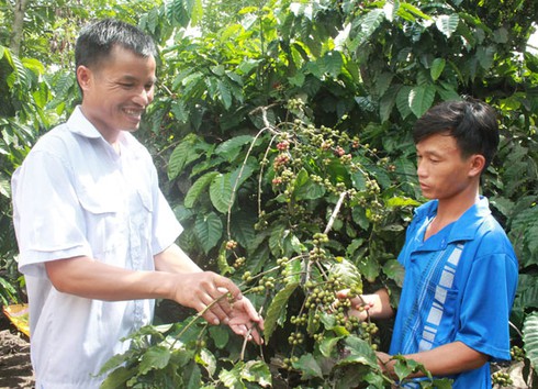 Công tác phát triển Đảng ở một xã miền núi Tây Nguyên - ảnh 1
