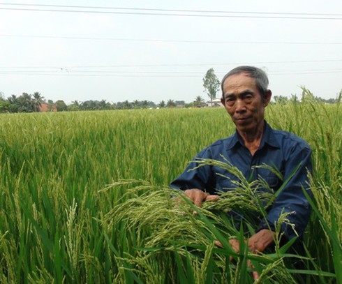 Long An đẩy mạnh phát triển nông nghiệp ứng dụng công nghệ cao - ảnh 1